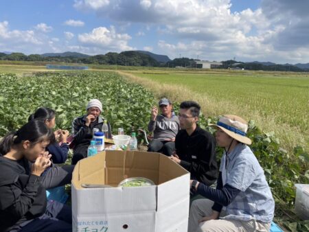 生枝豆収穫イベント