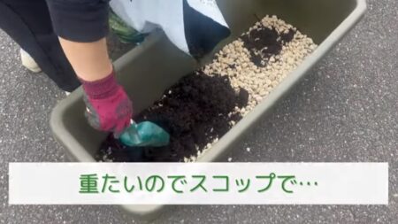 枝豆栽培 培養土を敷く