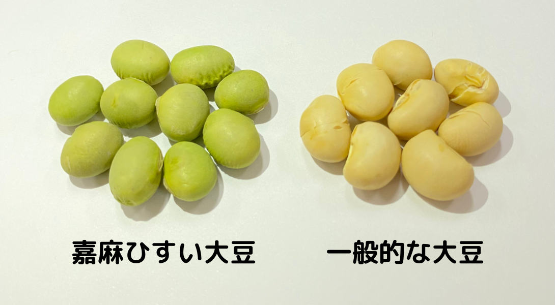 高級納豆の嘉麻ひすい大豆と一般の大豆との比較