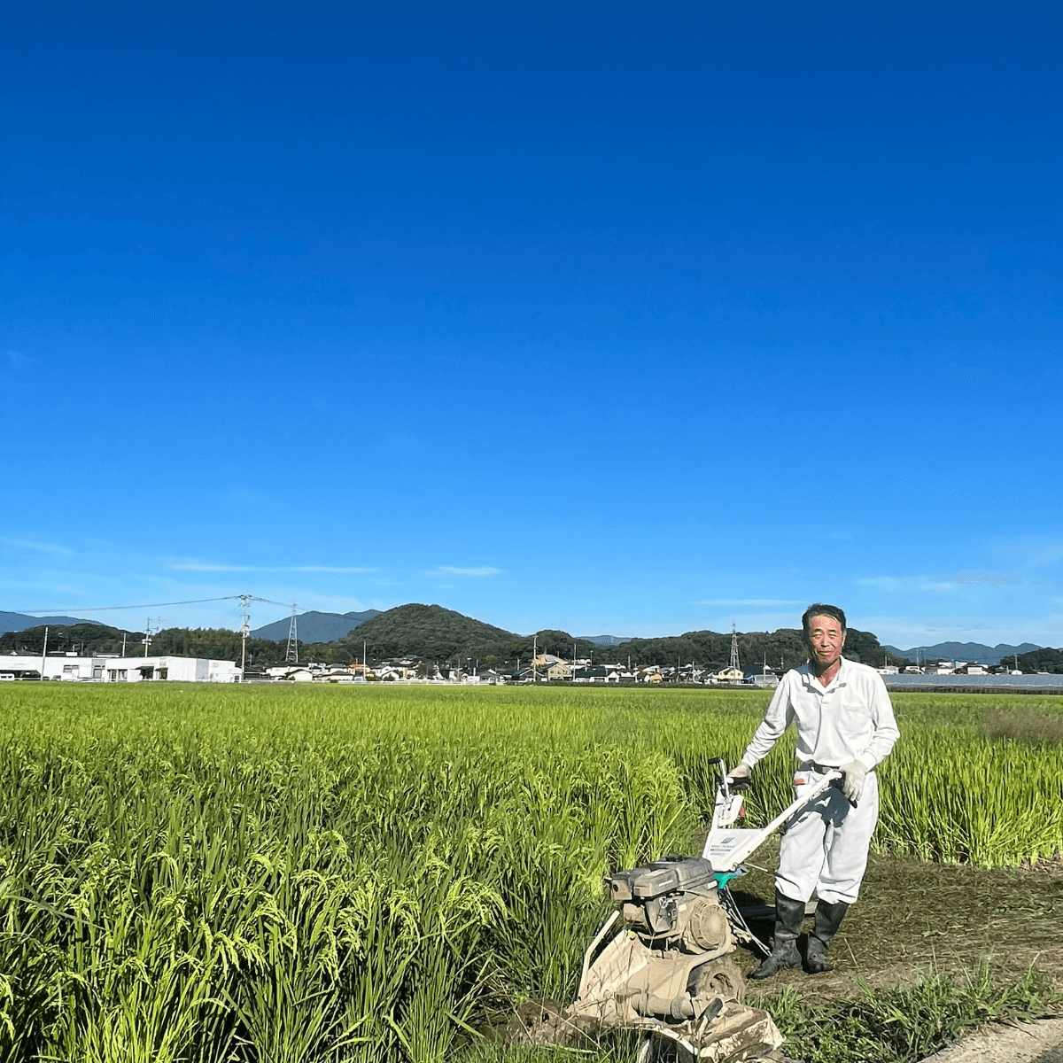 福岡 米農家