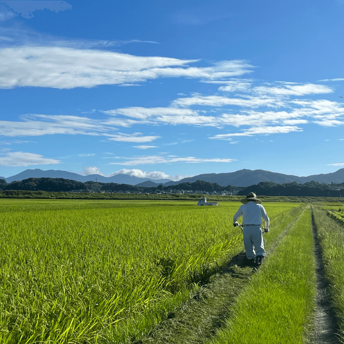 福岡の農作業風景