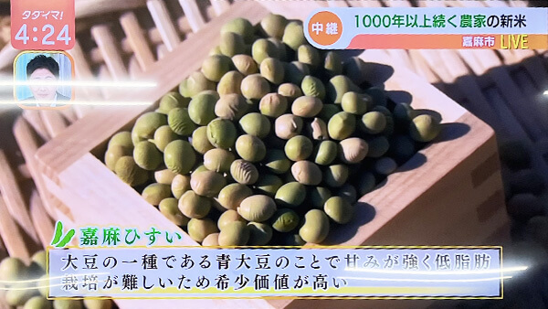 嘉麻ひすい 青大豆 RKB毎日放送 タダイマ